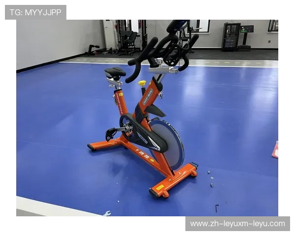 高端健身器材品牌商详解家庭健身房搭建攻略